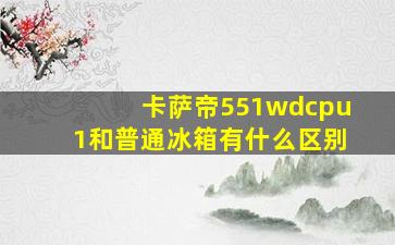 卡萨帝551wdcpu1和普通冰箱有什么区别