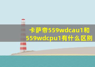 卡萨帝559wdcau1和559wdcpu1有什么区别