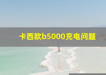 卡西欧b5000充电问题