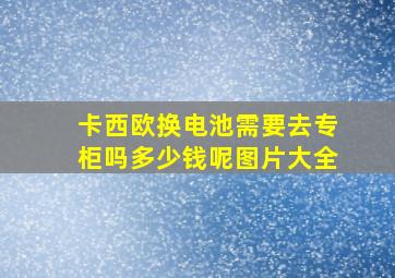 卡西欧换电池需要去专柜吗多少钱呢图片大全