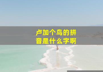 卢加个鸟的拼音是什么字啊