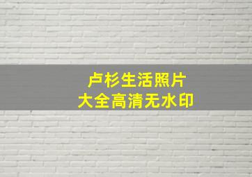 卢杉生活照片大全高清无水印