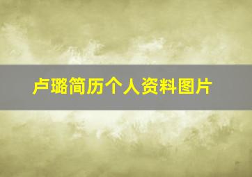 卢璐简历个人资料图片