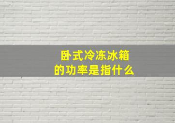 卧式冷冻冰箱的功率是指什么