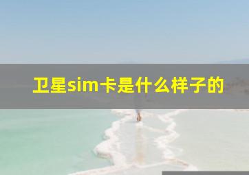 卫星sim卡是什么样子的