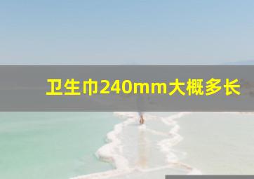 卫生巾240mm大概多长