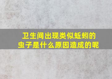 卫生间出现类似蚯蚓的虫子是什么原因造成的呢