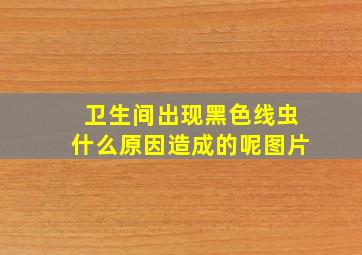 卫生间出现黑色线虫什么原因造成的呢图片