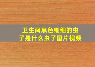 卫生间黑色细细的虫子是什么虫子图片视频