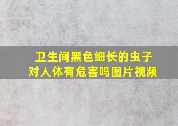 卫生间黑色细长的虫子对人体有危害吗图片视频