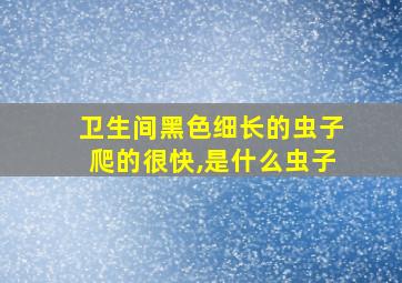 卫生间黑色细长的虫子爬的很快,是什么虫子