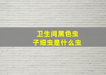 卫生间黑色虫子细虫是什么虫