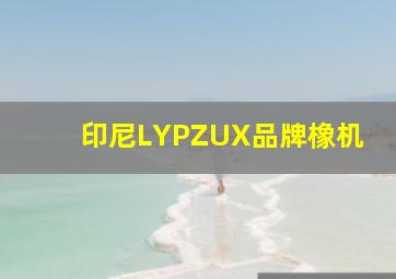 印尼LYPZUX品牌橡机