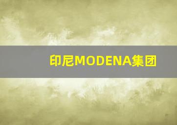 印尼MODENA集团