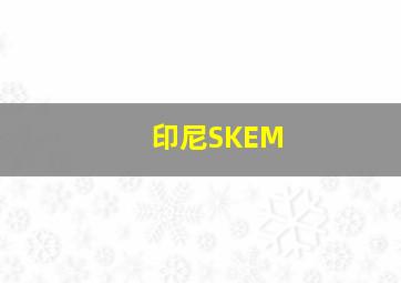 印尼SKEM