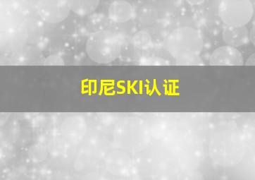 印尼SKI认证