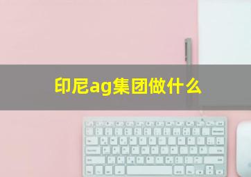 印尼ag集团做什么