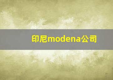 印尼modena公司