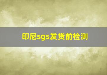 印尼sgs发货前检测