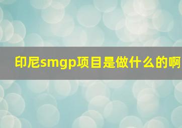 印尼smgp项目是做什么的啊