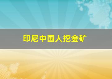 印尼中国人挖金矿