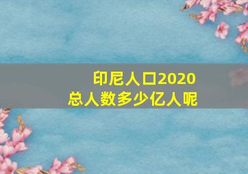 印尼人口2020总人数多少亿人呢