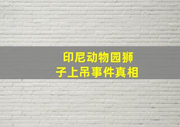 印尼动物园狮子上吊事件真相