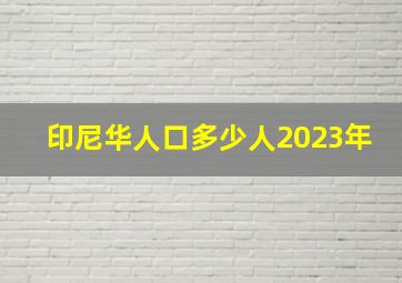 印尼华人口多少人2023年