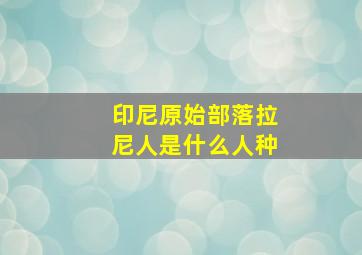 印尼原始部落拉尼人是什么人种