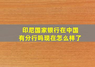 印尼国家银行在中国有分行吗现在怎么样了