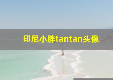 印尼小胖tantan头像