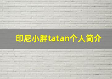 印尼小胖tatan个人简介