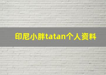 印尼小胖tatan个人资料