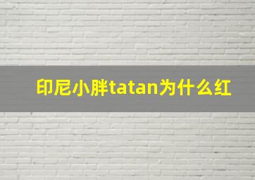 印尼小胖tatan为什么红