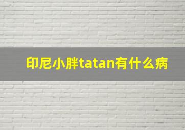 印尼小胖tatan有什么病