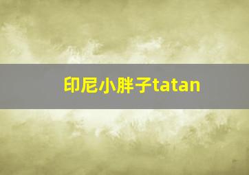 印尼小胖子tatan