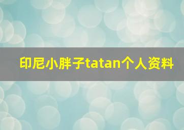 印尼小胖子tatan个人资料