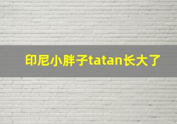 印尼小胖子tatan长大了