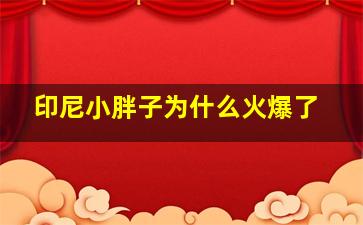 印尼小胖子为什么火爆了