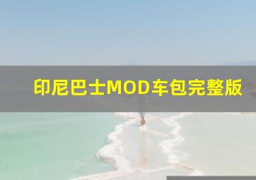 印尼巴士MOD车包完整版