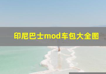 印尼巴士mod车包大全图