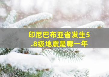 印尼巴布亚省发生5.8级地震是哪一年