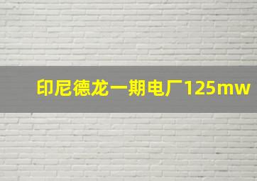 印尼德龙一期电厂125mw