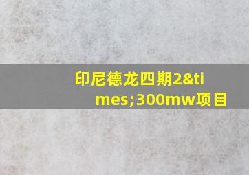 印尼德龙四期2×300mw项目