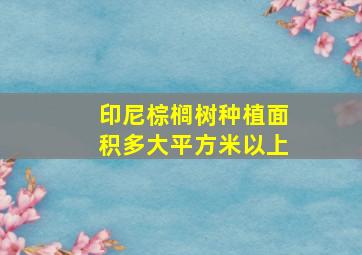 印尼棕榈树种植面积多大平方米以上