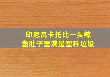 印尼瓦卡托比一头鲸鱼肚子里满是塑料垃圾