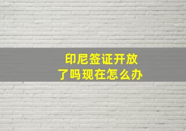 印尼签证开放了吗现在怎么办