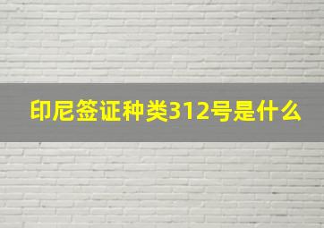 印尼签证种类312号是什么