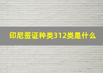 印尼签证种类312类是什么