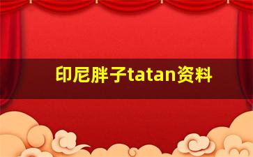 印尼胖子tatan资料